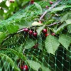 Fuglenet 2 x 5 meter - Garden®