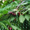 Fuglenet 8 x 8 meter - Garden®