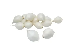 Grønne Fingre® stikløg salatløg Snowball 250 g