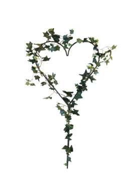 Hjerteformet espalier 39 x 79 cm