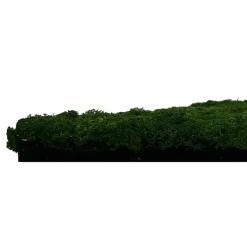 Jangal Modular Wall mospanel 52 x 52 cm - Dark Green