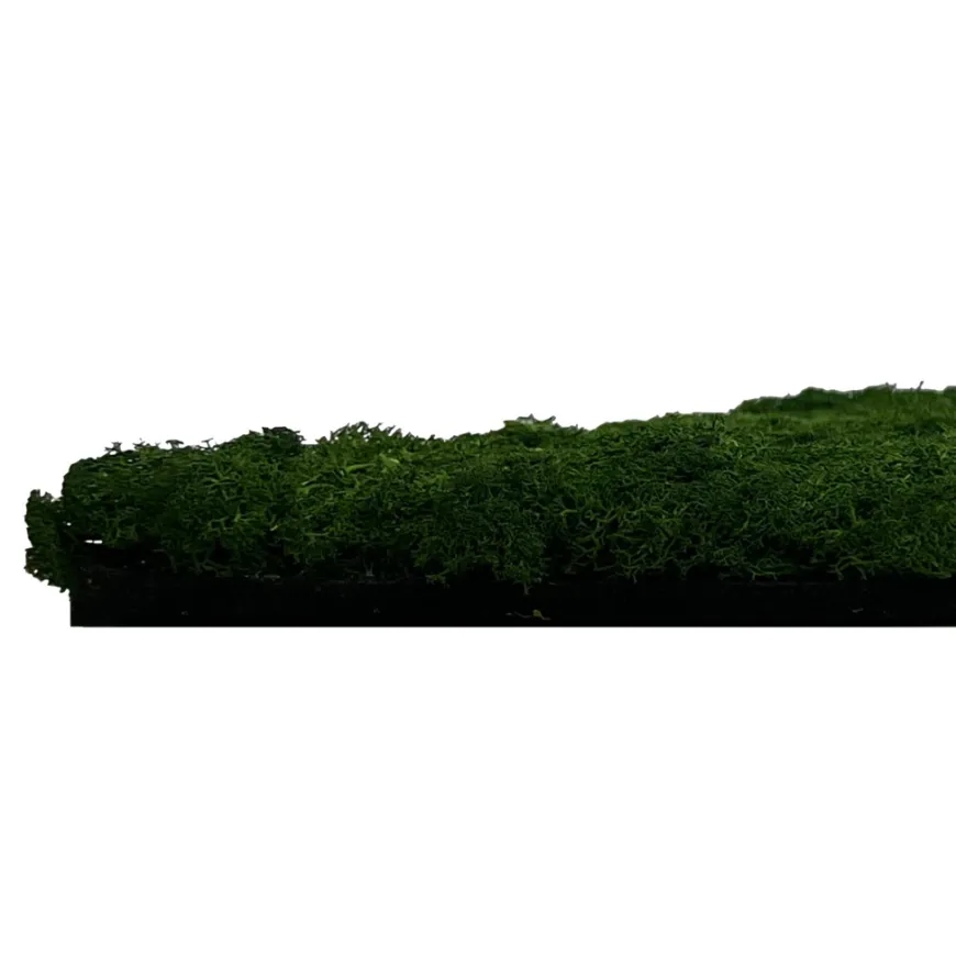 Jangal Modular Wall mospanel 52 x 52 cm - Dark Green