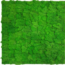 Jangal Modular Wall mospanel 52 x 52 cm - Rich Green