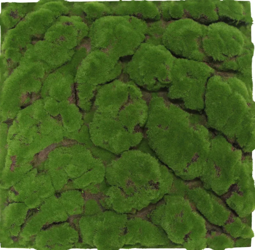 Jangal Modular Wall mospanel 52 x 52 cm - Dark Green Bulk
