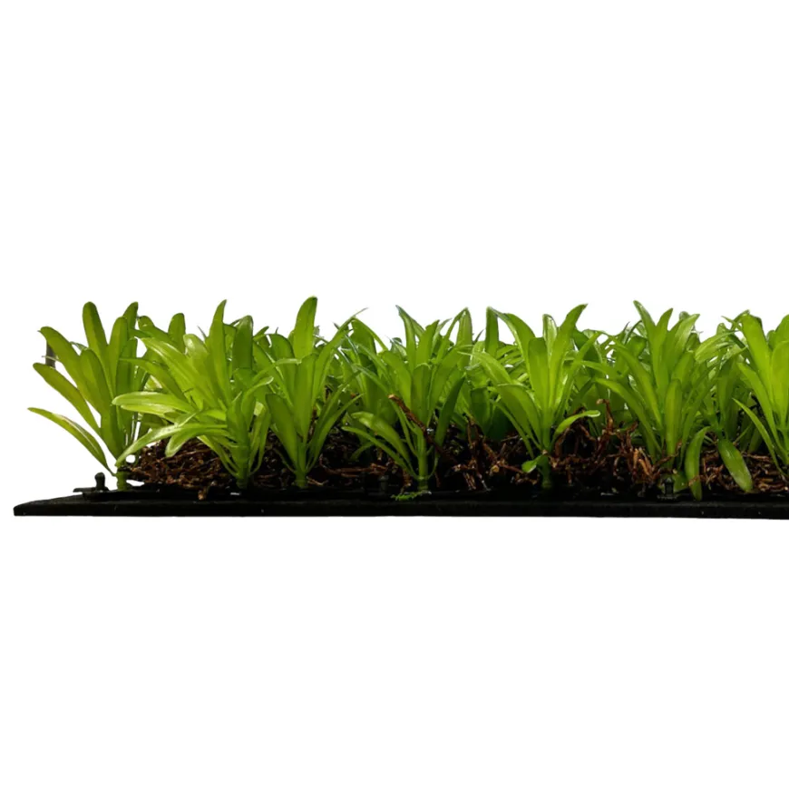 Jangal Modular Wall plantepanel 52 x 52 cm - Podocarpus Tea Tree
