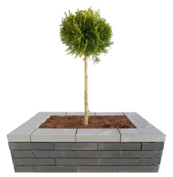 Murblok Nordic Wall koks 60 x 30 x 12 cm
