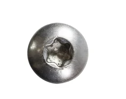NKT Fasteners spunskrue panhoved rustfri 5,0 x 30 mm 15 stk.