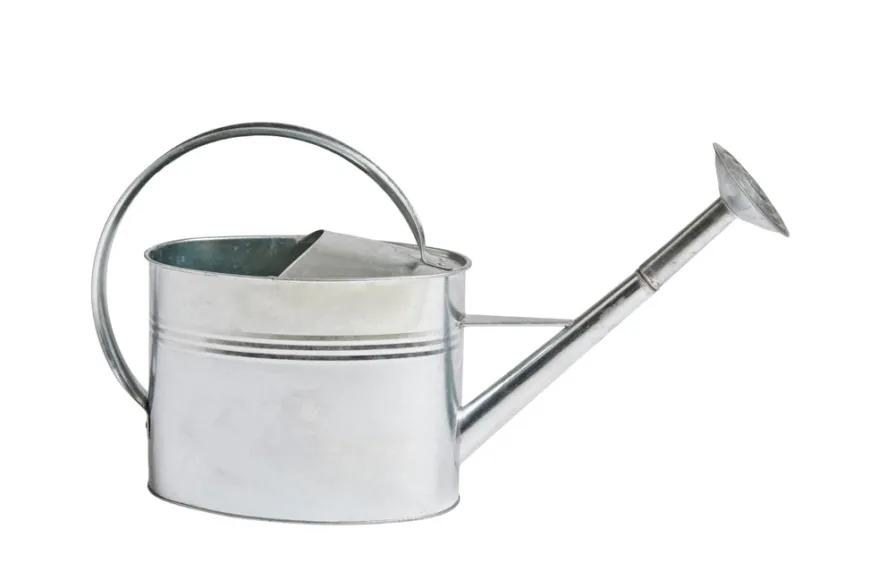 Vandkande 7 liter zink - Garden®