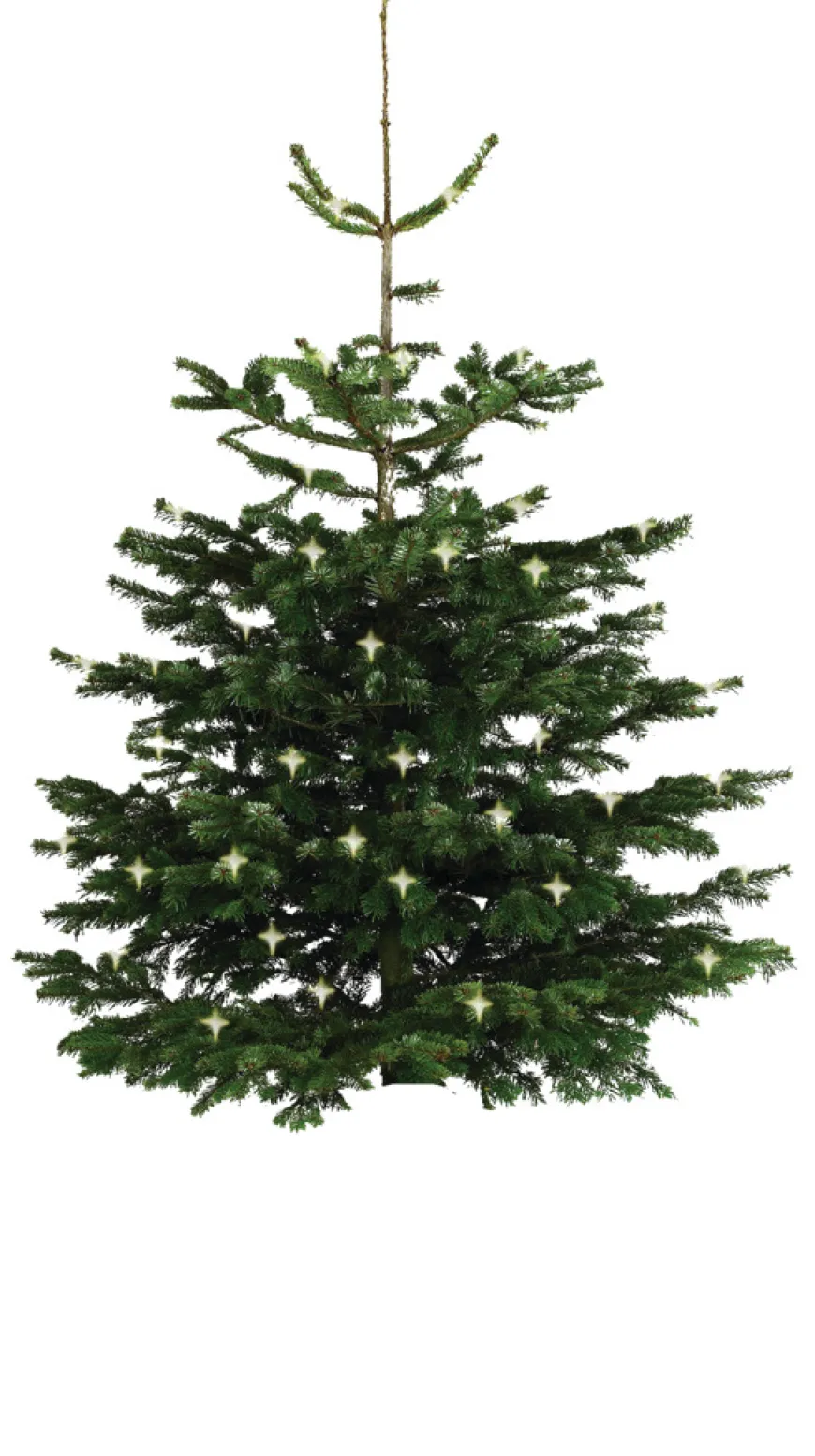 Whiskytønde Ø64 cm